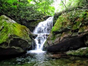 Waterfall picture