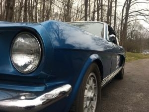 Shelby headlight picture