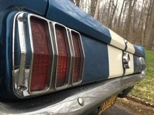 Shelby taillights  picture