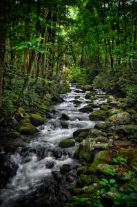 Stream waterfall picture