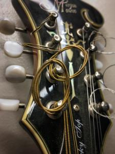 Mandolin strings picture